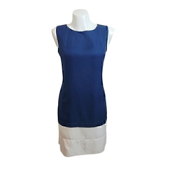 Balenciaga Silk Shift Dress 40 Color Block Blue White - Picture 1 of 12
